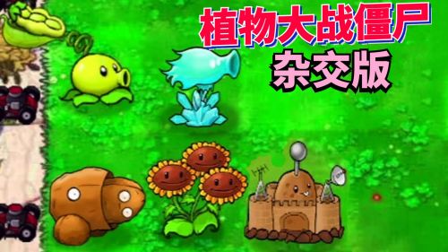 植物大战僵尸杂交版2.4