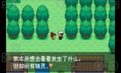 口袋妖怪永恒之沫3.0续版金手指下载