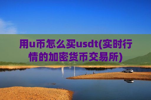 用u币怎么买usdt(实时行情的加密货币交易所)