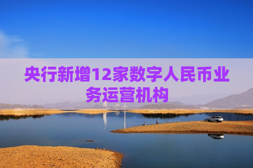 央行新增12家数字人民币业务运营机构 央行新增12家数字人民币业务运营机构