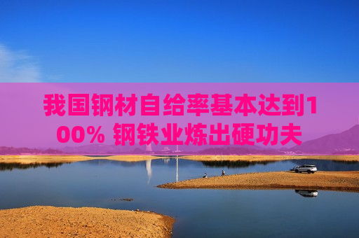 我国钢材自给率基本达到100% 钢铁业炼出硬功夫