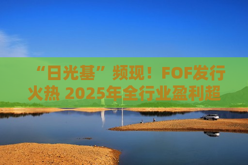 “日光基”频现！FOF发行火热 2025年全行业盈利超187亿元