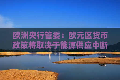 欧洲央行管委：欧元区货币政策将取决于能源供应中断规模