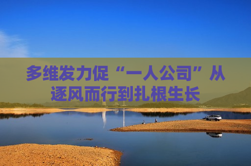 多维发力促“一人公司”从逐风而行到扎根生长