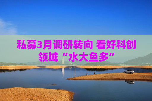 私募3月调研转向 看好科创领域“水大鱼多”