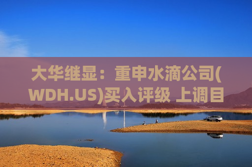 大华继显：重申水滴公司(WDH.US)买入评级 上调目标价至2.95美元