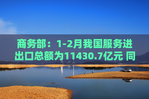 商务部：1-2月我国服务进出口总额为11430.7亿元 同比下降3.9%