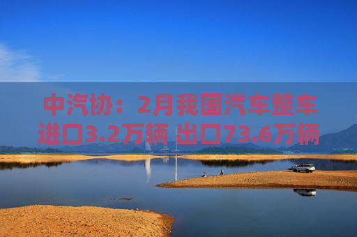 中汽协：2月我国汽车整车进口3.2万辆 出口73.6万辆 总金额超142亿美元
