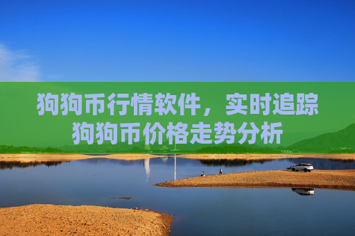狗狗币行情软件，实时追踪狗狗币价格走势分析
