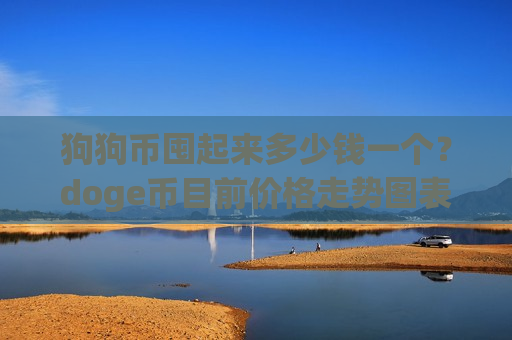 狗狗币囤起来多少钱一个？doge币目前价格走势图表(现价2.9731元)