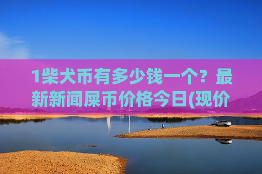 1柴犬币有多少钱一个？最新新闻屎币价格今日(现价0.00020546元)