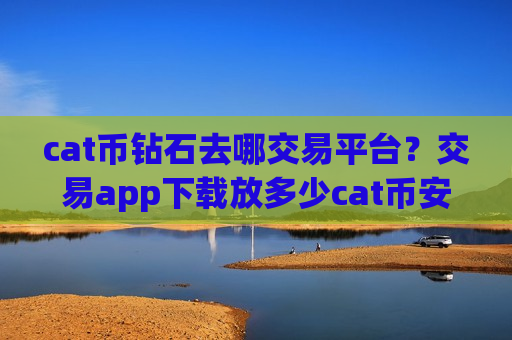 cat币钻石去哪交易平台？交易app下载放多少cat币安全