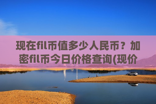 现在fil币值多少人民币？加密fil币今日价格查询(现价48.9853元)