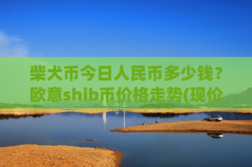 柴犬币今日人民币多少钱？欧意shib币价格走势(现价0.00020516元)
