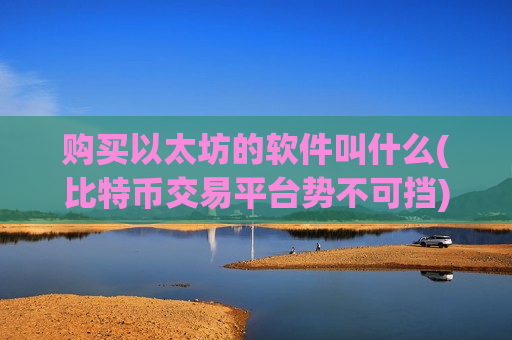 购买以太坊的软件叫什么(比特币交易平台势不可挡)