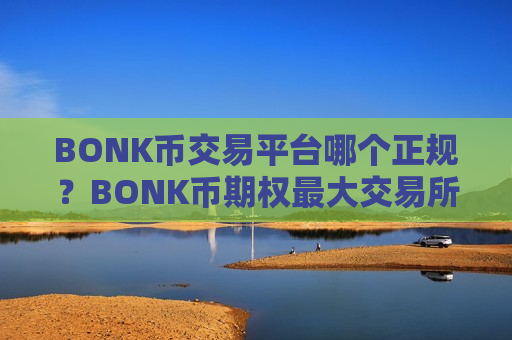 BONK币交易平台哪个正规？BONK币期权最大交易所