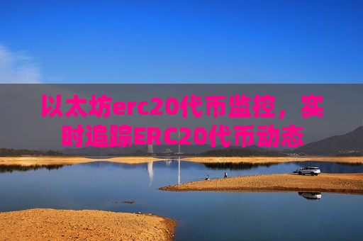 以太坊erc20代币监控，实时追踪ERC20代币动态