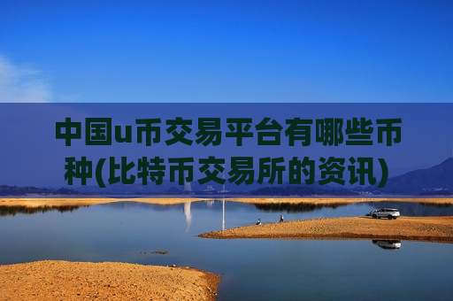 中国u币交易平台有哪些币种(比特币交易所的资讯)