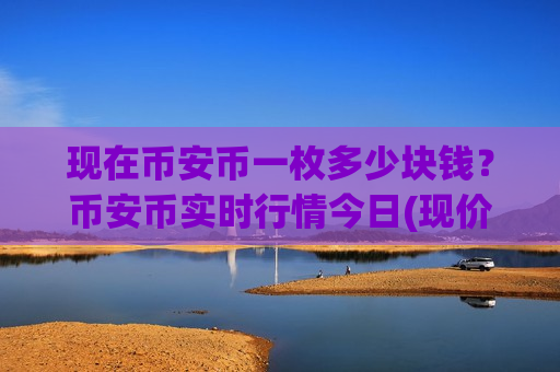现在币安币一枚多少块钱？币安币实时行情今日(现价5133.71元)