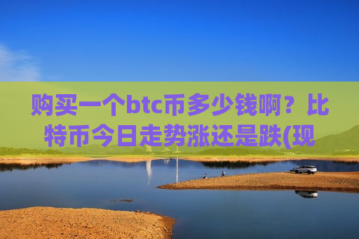 购买一个btc币多少钱啊？比特币今日走势涨还是跌(现价726572.31元)