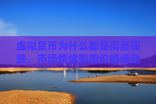 虚拟货币为什么都是同涨同跌，市场情绪影响价格波动