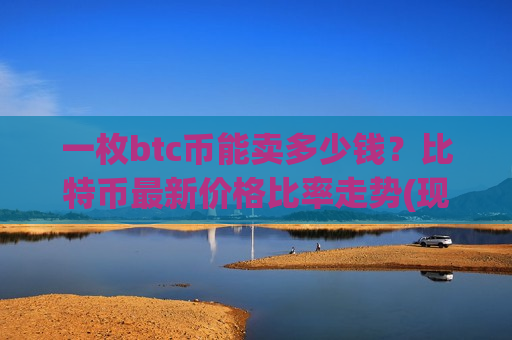 一枚btc币能卖多少钱？比特币最新价格比率走势(现价726006.99元)