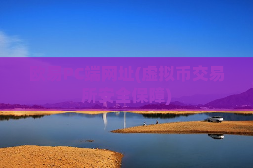 欧易PC端网址(虚拟币交易所安全保障)