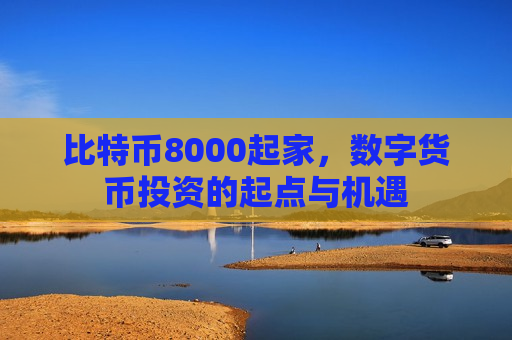 比特币8000起家，数字货币投资的起点与机遇