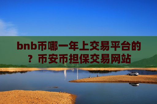 bnb币哪一年上交易平台的？币安币担保交易网站