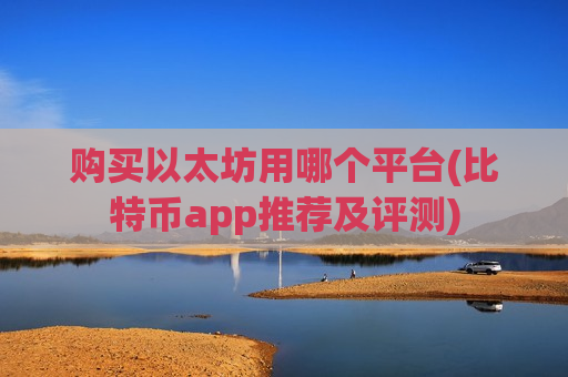 购买以太坊用哪个平台(比特币app推荐及评测)