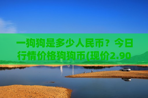 一狗狗是多少人民币？今日行情价格狗狗币(现价2.9063元)