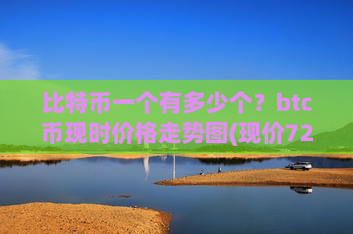比特币一个有多少个？btc币现时价格走势图(现价724603.88元)