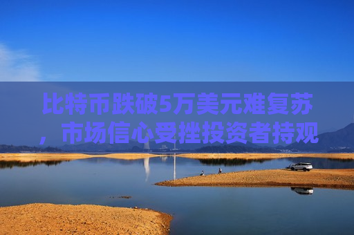 比特币跌破5万美元难复苏，市场信心受挫投资者持观望态度