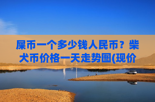 屎币一个多少钱人民币？柴犬币价格一天走势图(现价0.00020197元)