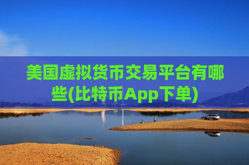 美国虚拟货币交易平台有哪些(比特币App下单)