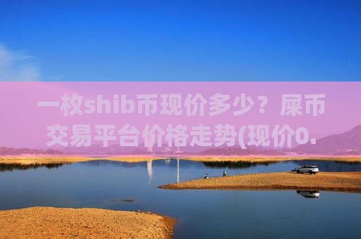 一枚shib币现价多少？屎币交易平台价格走势(现价0.00020222元)