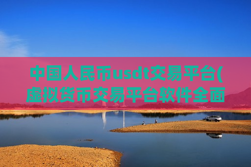 中国人民币usdt交易平台(虚拟货币交易平台软件全面评测)