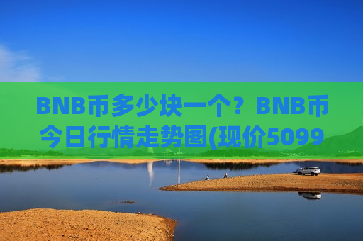 BNB币多少块一个？BNB币今日行情走势图(现价5099.9元)