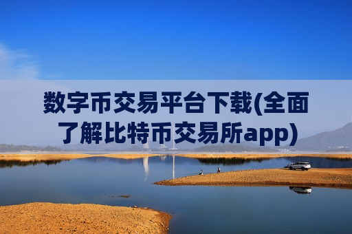 数字币交易平台下载(全面了解比特币交易所app)