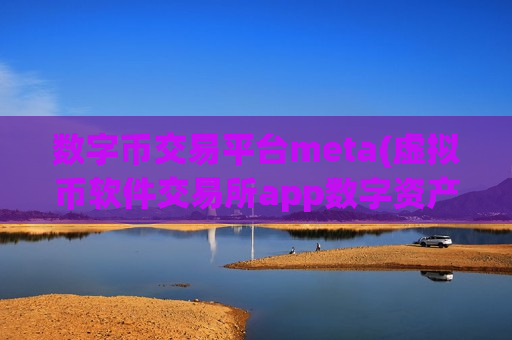 数字币交易平台meta(虚拟币软件交易所app数字资产)