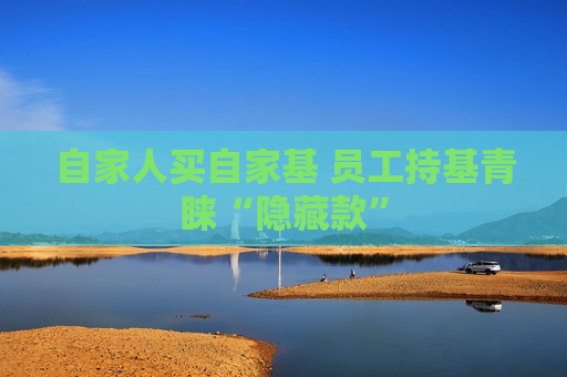 自家人买自家基 员工持基青睐“隐藏款”