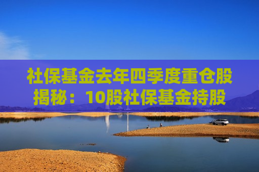 社保基金去年四季度重仓股揭秘：10股社保基金持股比例超5%