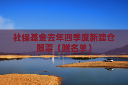 社保基金去年四季度新建仓股票（附名单）