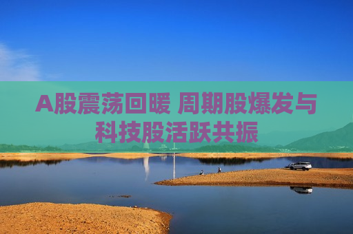 A股震荡回暖 周期股爆发与科技股活跃共振