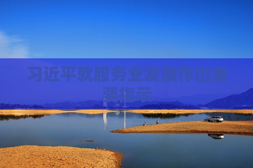 习近平就服务业发展作出重要指示