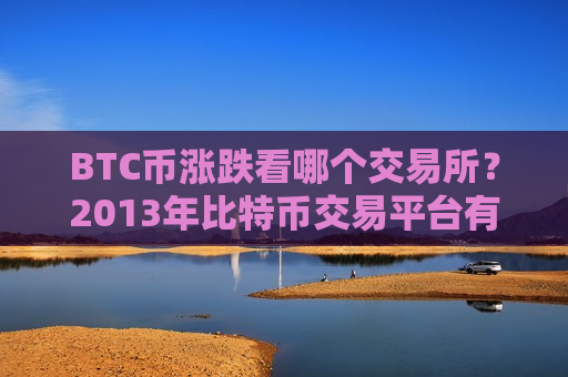 BTC币涨跌看哪个交易所？2013年比特币交易平台有哪些