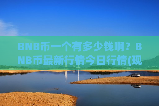 BNB币一个有多少钱啊？BNB币最新行情今日行情(现价5114.41元)