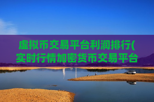 虚拟币交易平台利润排行(实时行情加密货币交易平台)