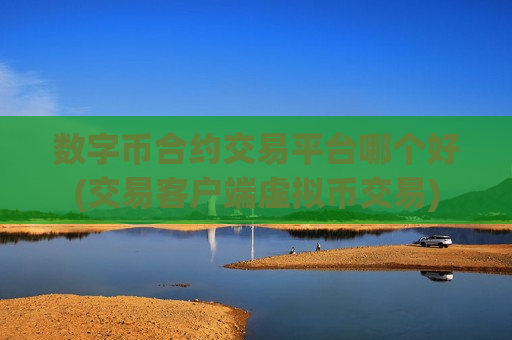 数字币合约交易平台哪个好(交易客户端虚拟币交易)
