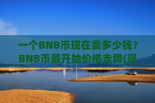 一个BNB币现在卖多少钱？BNB币最开始价格走势(现价5106.09元)